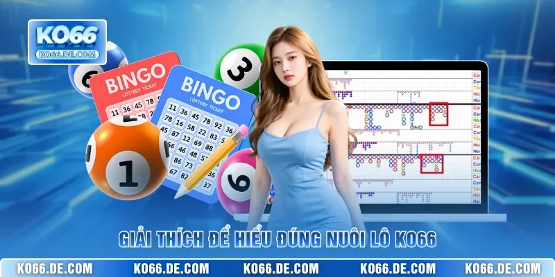 Nuôi Lô KO66 Và 5 Kỹ Thuật Theo Số Hiệu Quả Nhất 2026 2 Giải thích để hiểu đúng nuôi lô KO66